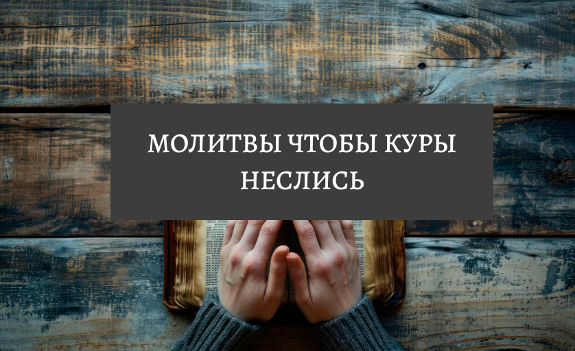 Молитва чтобы куры неслись хорошо